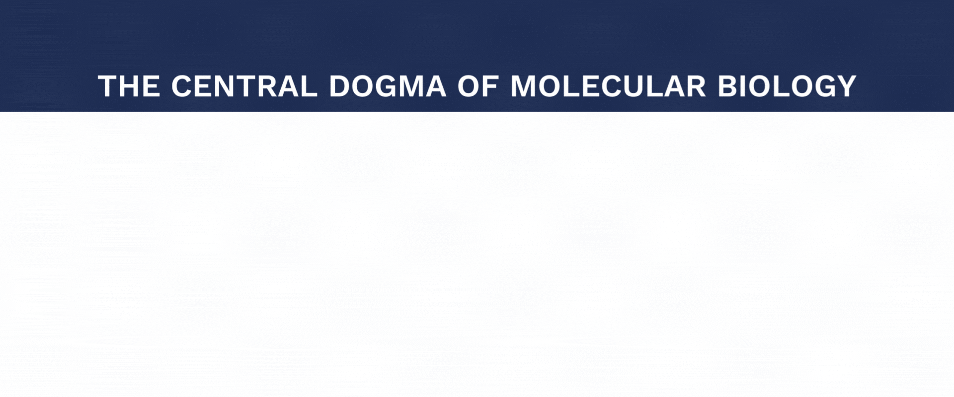 [UPDATED] THE CENTRAL DOGMA OF MOLECULAR BIOLOGY