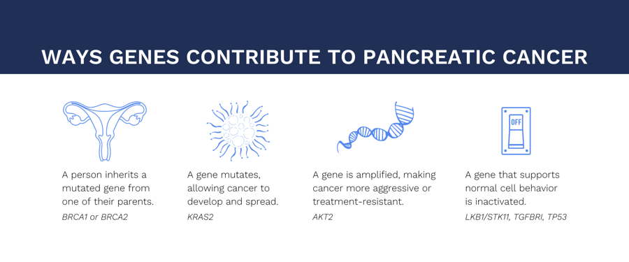 [UPDATED] WAYS GENES CONTRIBUTE TO PANCREATIC CANCER