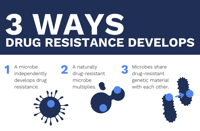 How Drug Resistance Develops