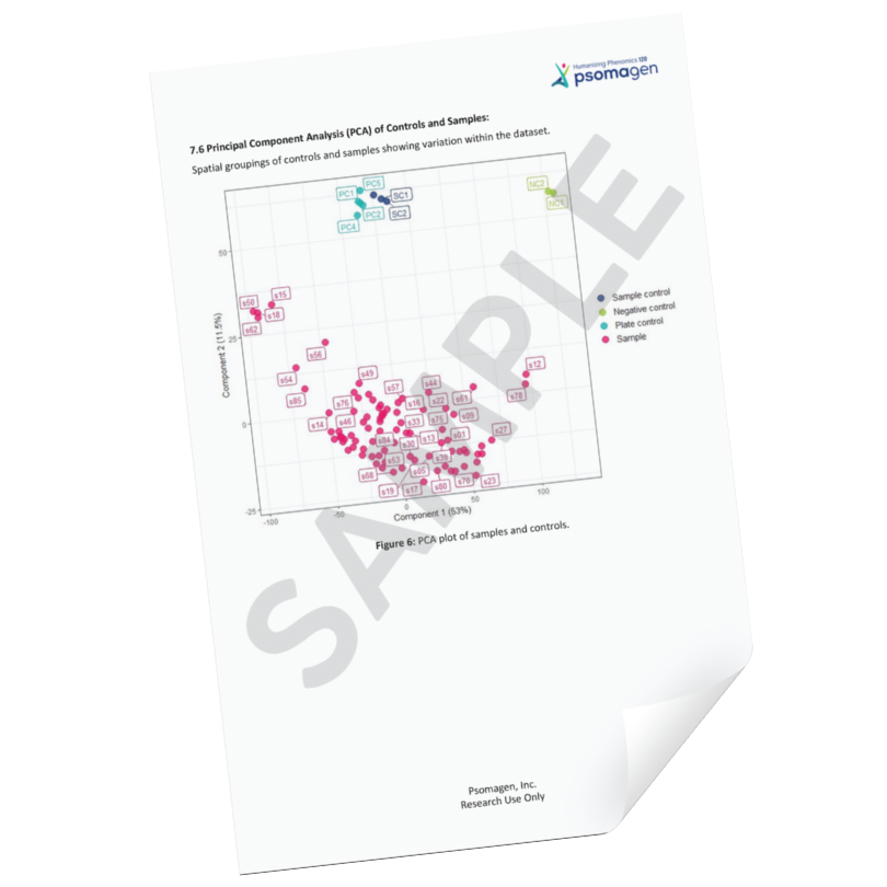 Icon_ExploreHTSampleReport (1)