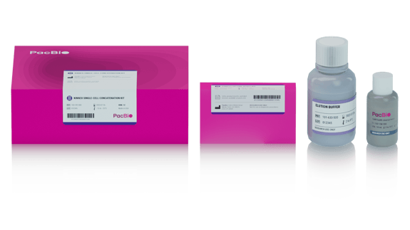 Kinnex single cell kit
