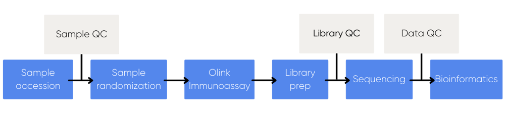 Olink Explore Workflow-1