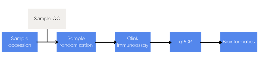 Olink T48 Workflow