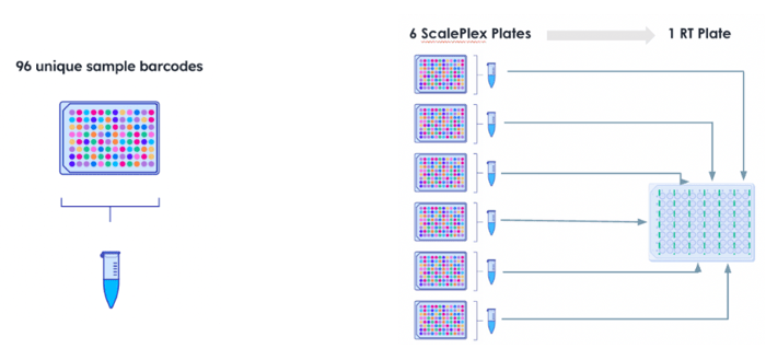 ScalePlex diagrams