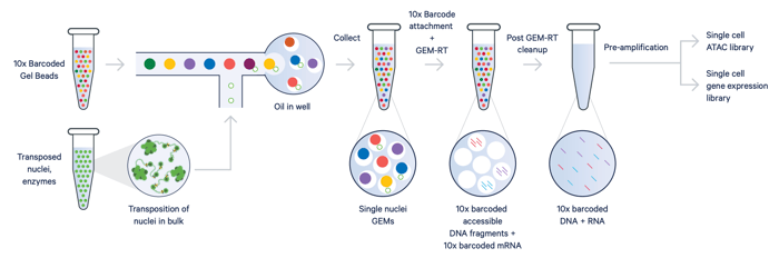 Screenshot 2026-04-16 at 10.30.42 AM