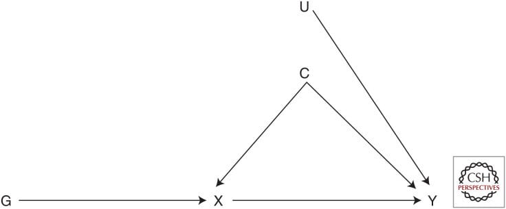 mendelian randomization diagram