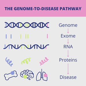the genome-to-disease pathway