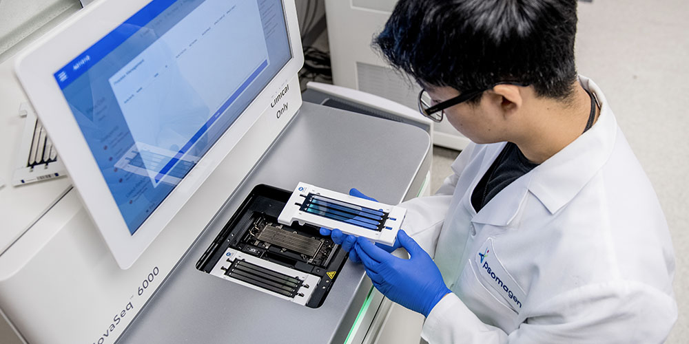 novaseq flow cells