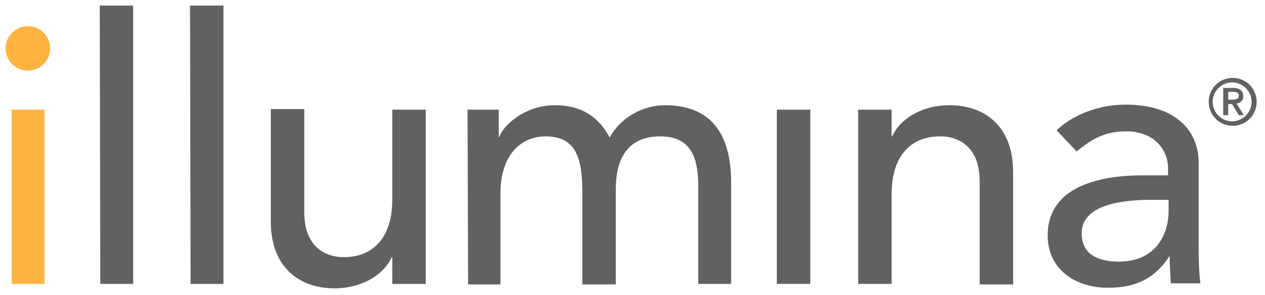 Illumina Logo - copyright Illumina
