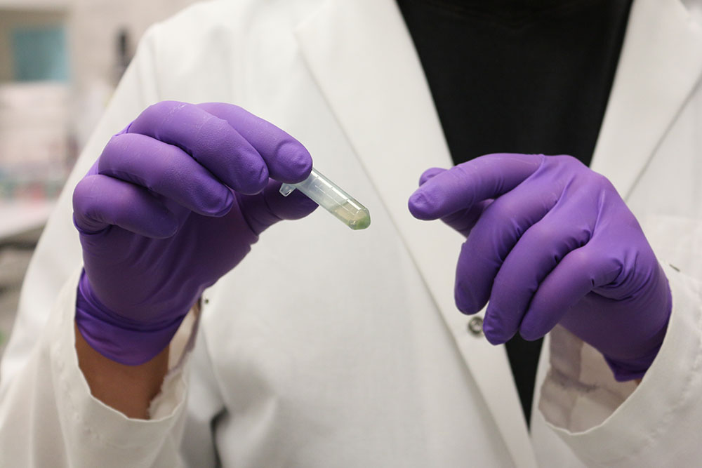 Metagenomics