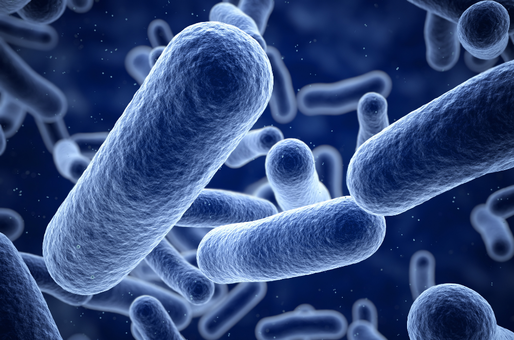 image of bacterial microbes