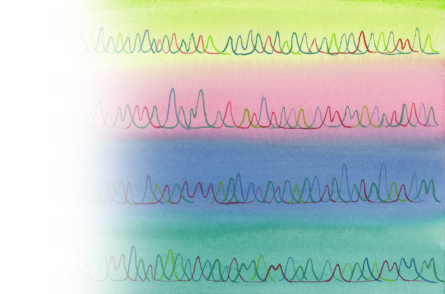 PSO_Web-Header_WTR-Wiggles