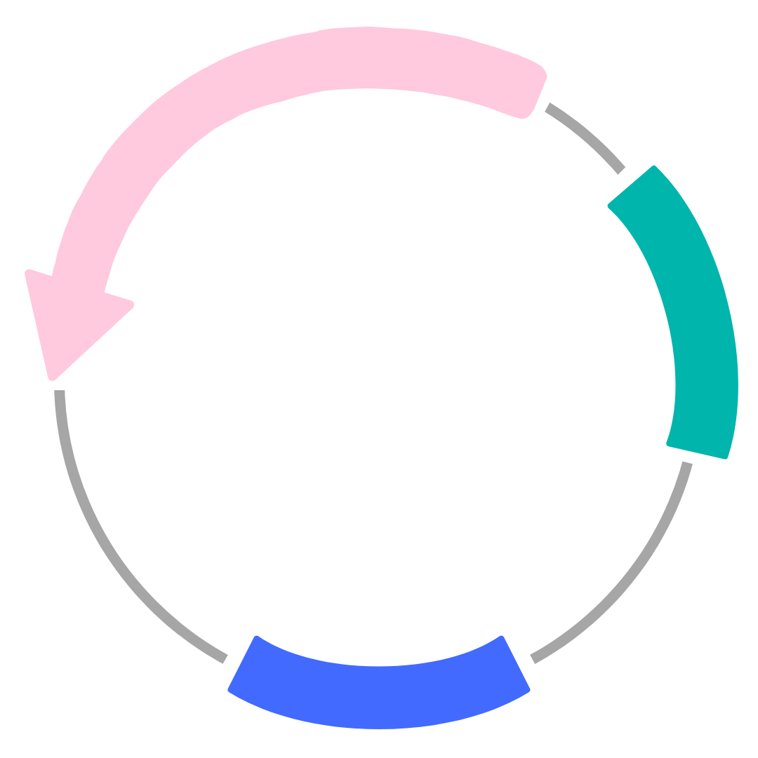 Plasmid