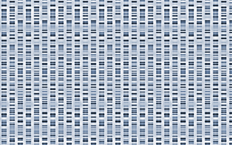 DNA sequencing visualization