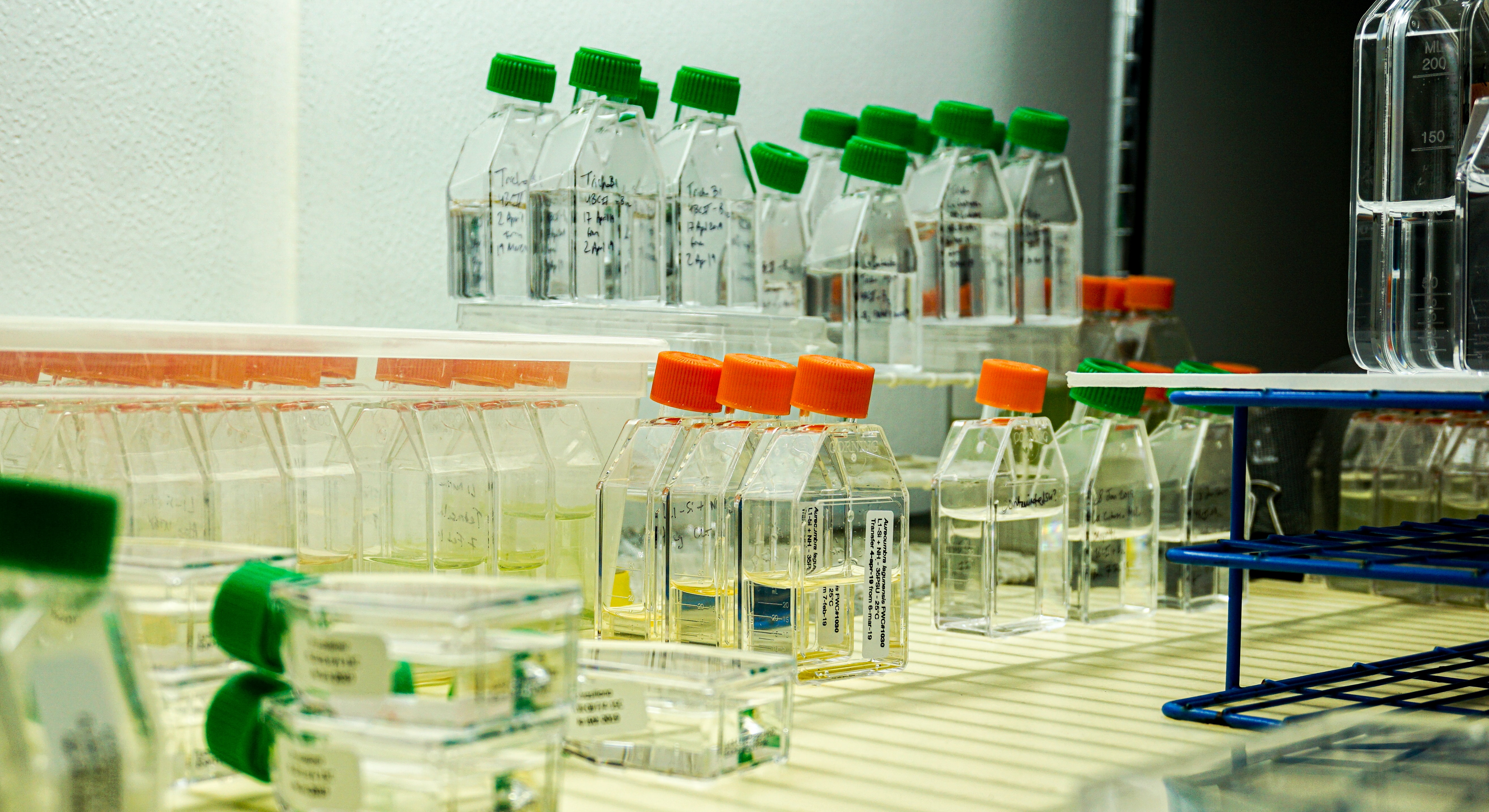 Psomagen and IDT Publish Infectious Disease Surveillance Wastewater Testing Results