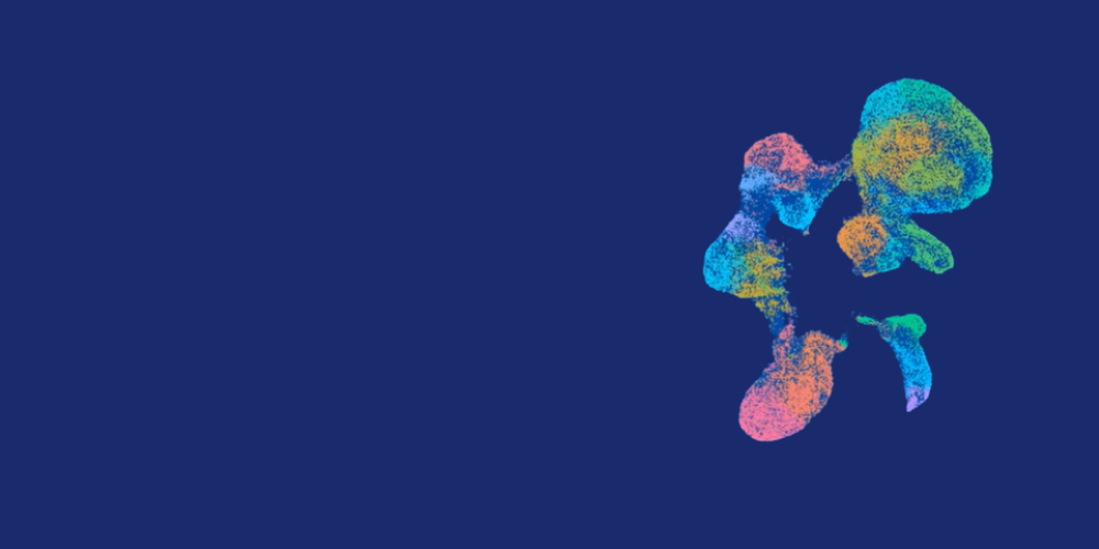 umap (4)